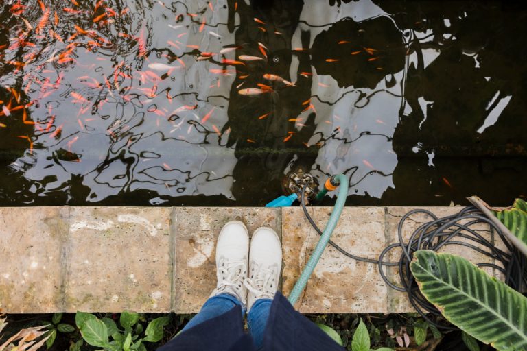 kolam ikan outdoor