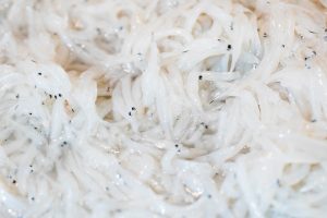 ikan teri nasi