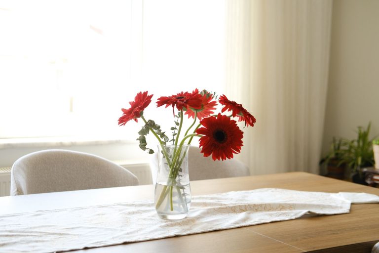 Bunga gerbera