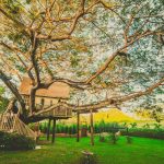 Rumah pohon