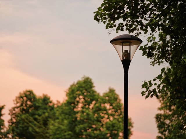 warna lampu taman